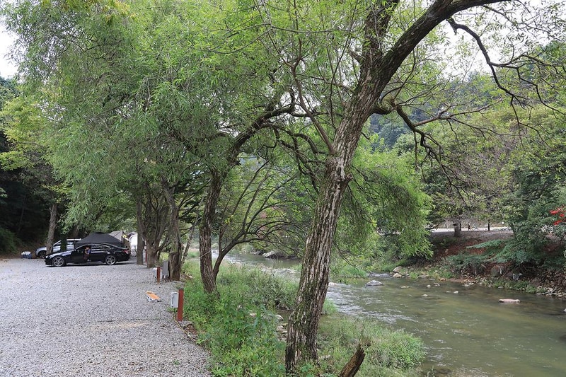 양평온누리캠핑장 시설 사진 1