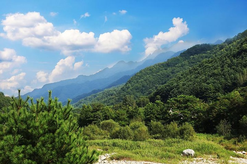 한계2리 솔밭야영장 대표 사진