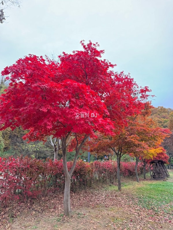 광명 도덕산 캠핑장, 다시는 갈 일 없도덕!