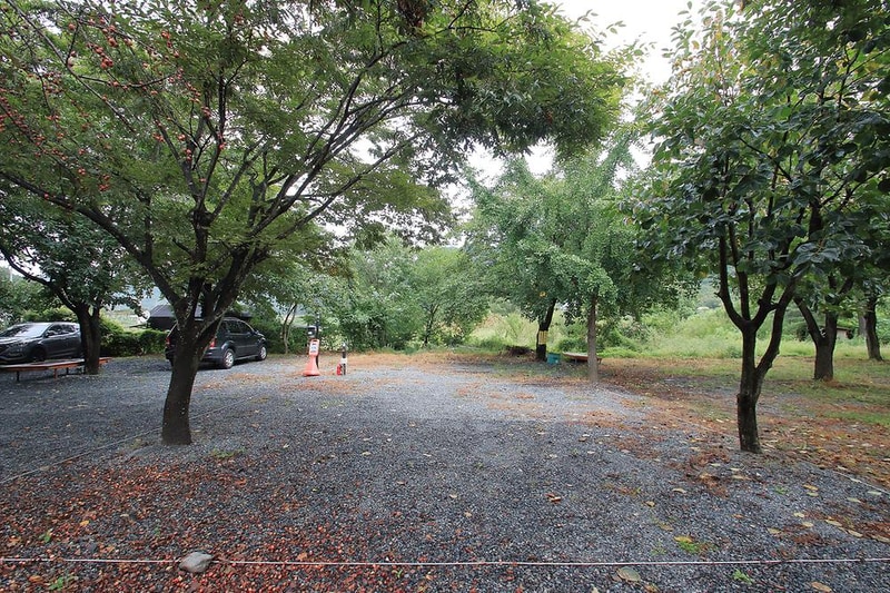 운문 사계절 캠핑장 시설 사진 7