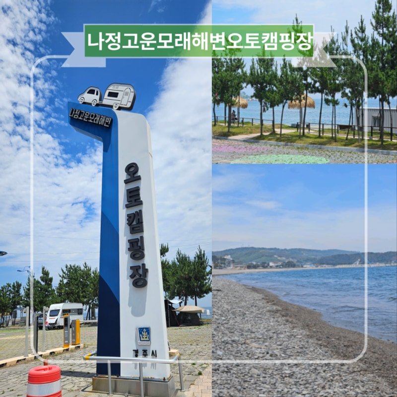 경주 감포 차박성지 나정고운모래해변 오토캠핑장