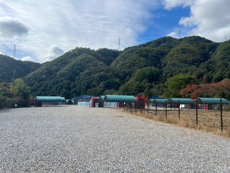 경기도 가평 물멍캠프, 2박 3일 캠핑장 후기