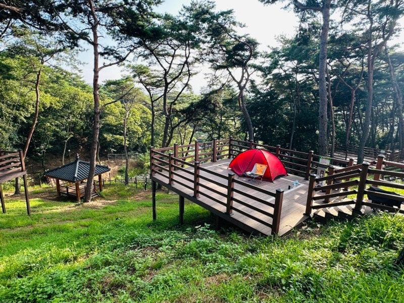 남원 캠핑을 즐기다...교룡공원 숲속야영장, 교룡산성, 선국사...