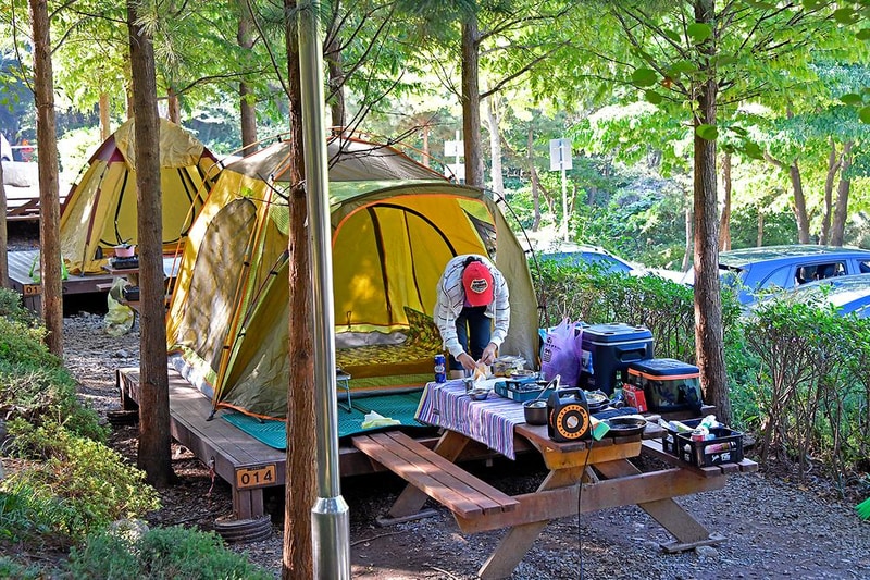 대운산자연휴양림 야영장 시설 사진 13