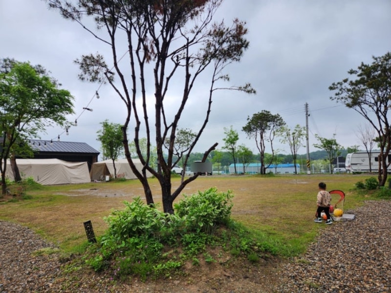 여주 그린바움캠핑장에서 아이와 함께한 캠핑 체험기