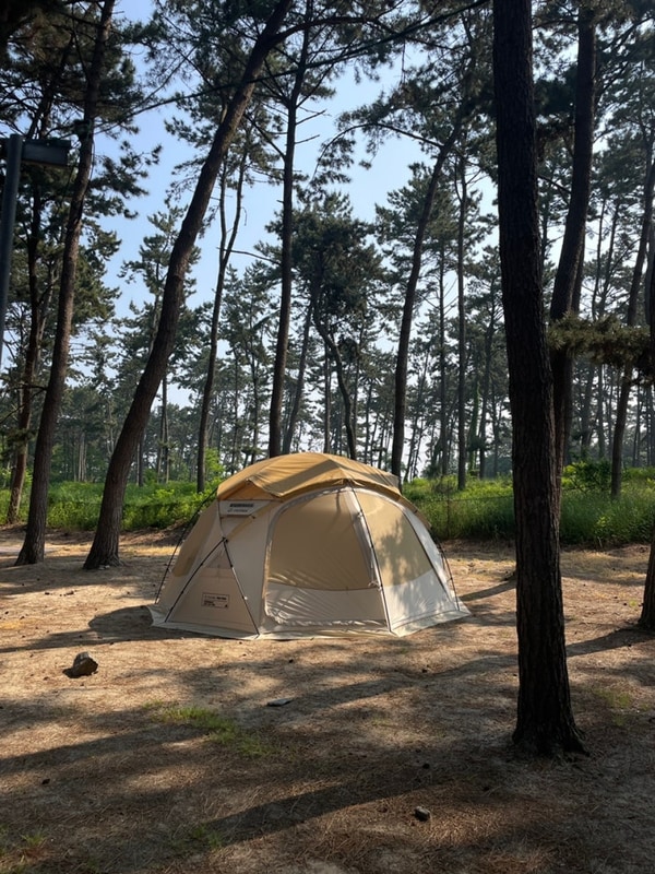 캠핑#45. 서천 춘장대솔내음야영장