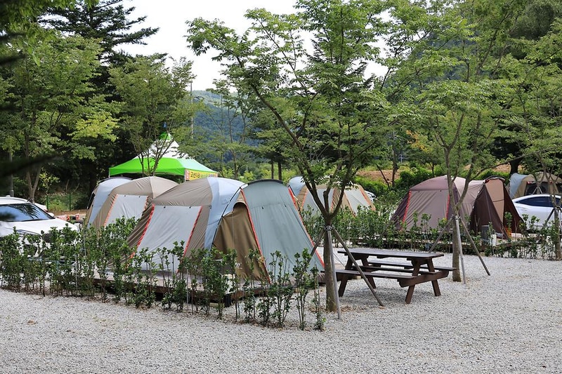 봉화솔향가득서울캠핑장 시설 사진 27