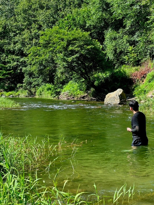 강원도 영월 물놀이하기 좋은... 옆 "별마로빌리지 캠핑장" (여름...