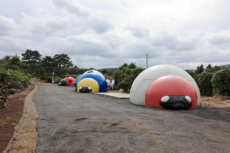 선흘리캠핑장 시설 사진 5