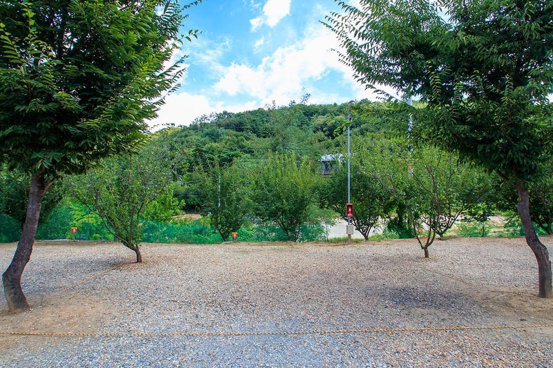 천안밤나무골 가족캠핑농원 시설 사진 11