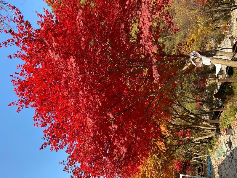 봉화별캠핑장 시설 사진 7