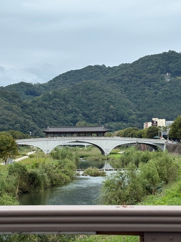 캠핑은 캠프히어!