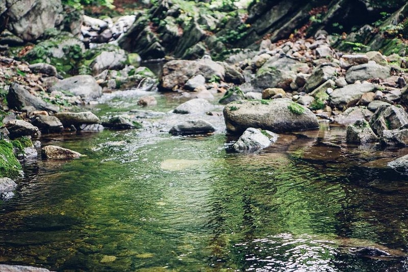 자연에 머물다 시설 사진 31