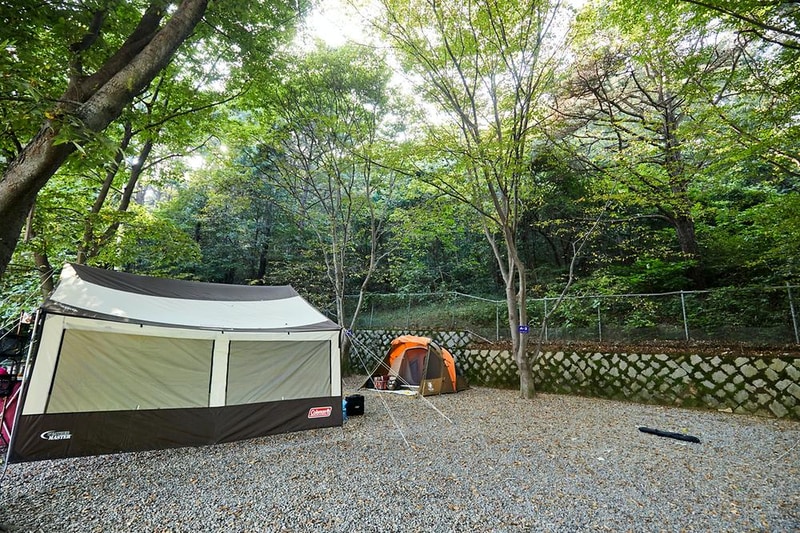 학교안 풍경캠핑장 시설 사진 13