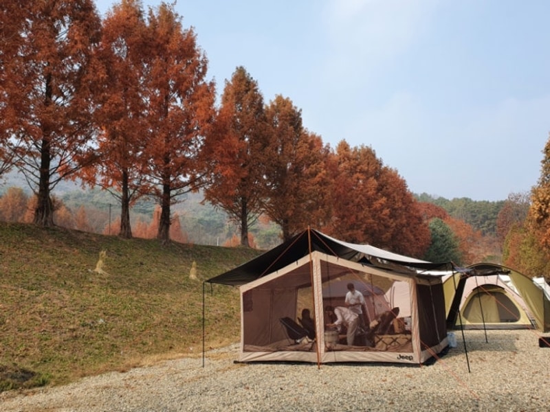 단풍 맛집 여주관광농원 캠프여주 A구역 후기 ft. 낚시터, 축구장
