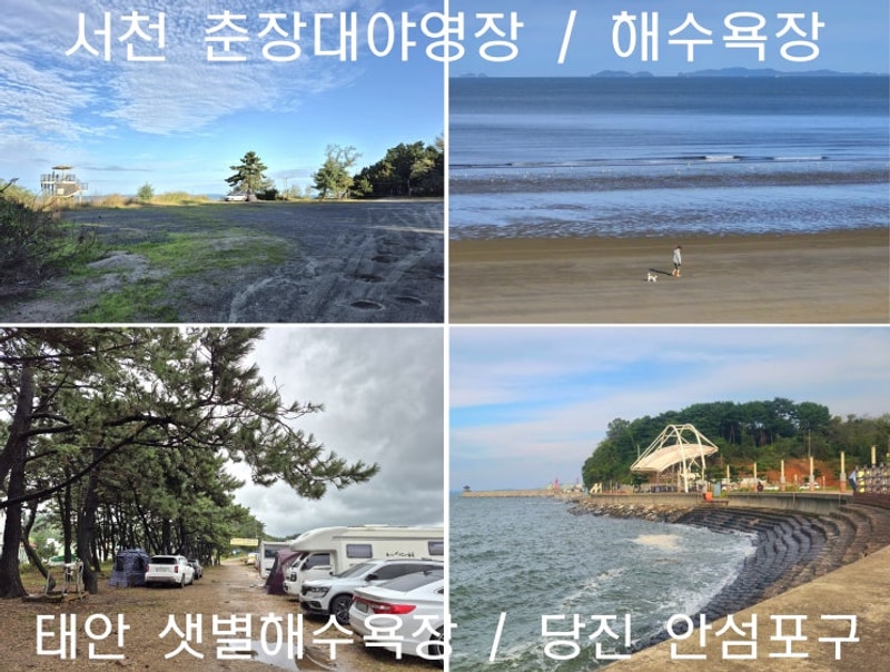 당진/ 캠핑차박112] 충남 서천 춘장대솔내음야영장 / 태안...