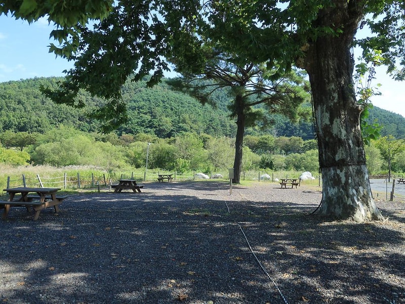 낙동강 레포츠밸리 강변오토캠핑장 시설 사진 2