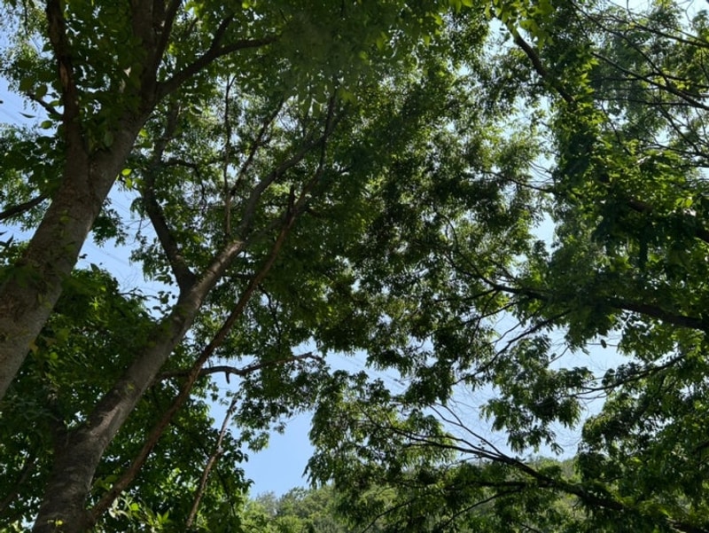 리뷰] 순한맛 캠핑버전 캠크닉 가능 야영장 “노문야영장”