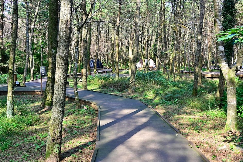 붉은오름 자연휴양림 숲속 야영장 시설 사진 12