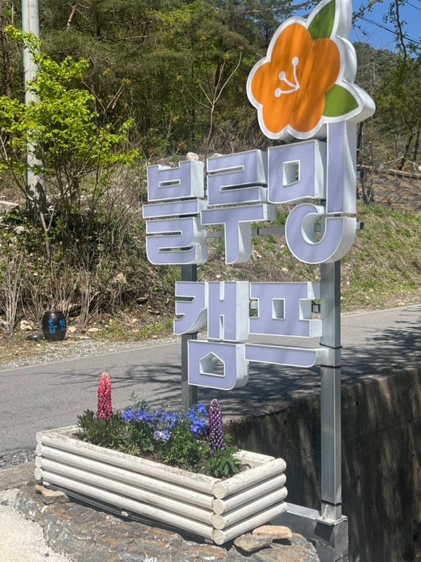 블루밍 캠프- 무릉도원이 어딨느냐 물으신다면