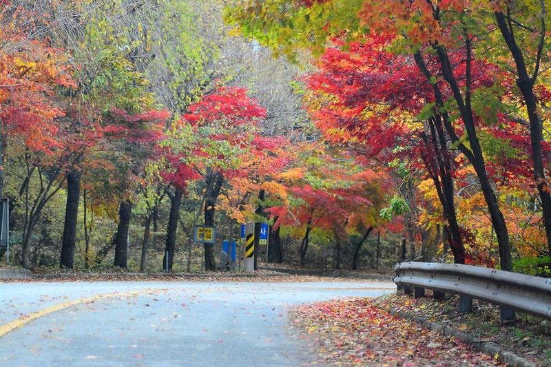 국립유명산자연휴양림(일반) 시설 사진 11