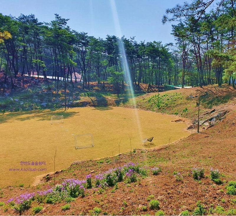 한반도 솔숲 쉼터 시설 사진 1