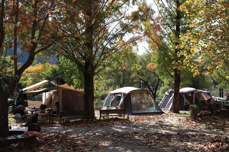 주왕산국립공원 상의자동차 야영장 시설 사진 1