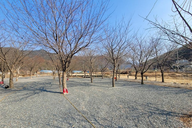 늘푸른캠핑장 시설 사진 4