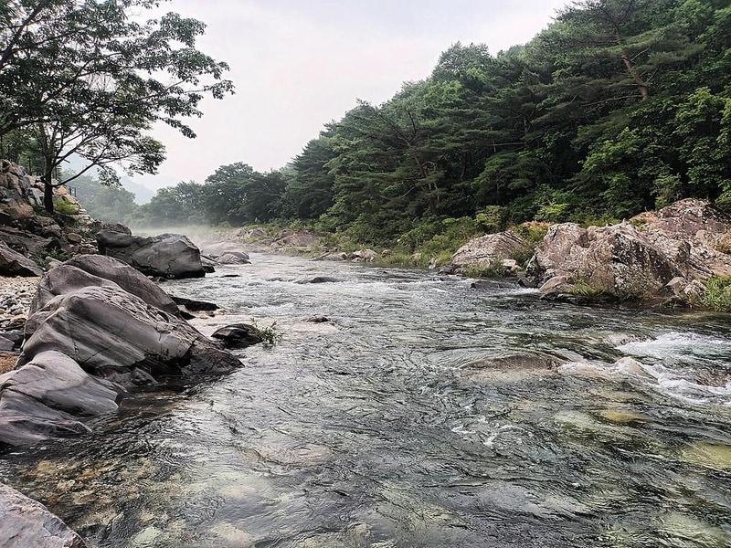 월악아지트캠핑장 시설 사진 12