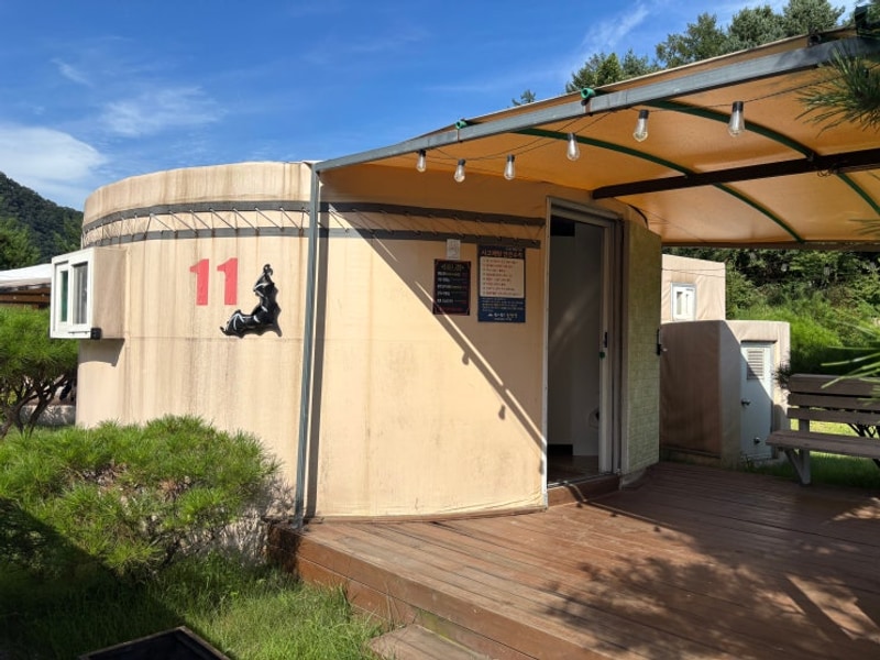 ️ [홍천 글램핑 추천] 몽고몽고글램핑 후기✨ 몽골 감성...