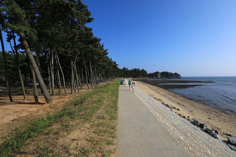 백사장사계절 숲속야영장 시설 사진 7