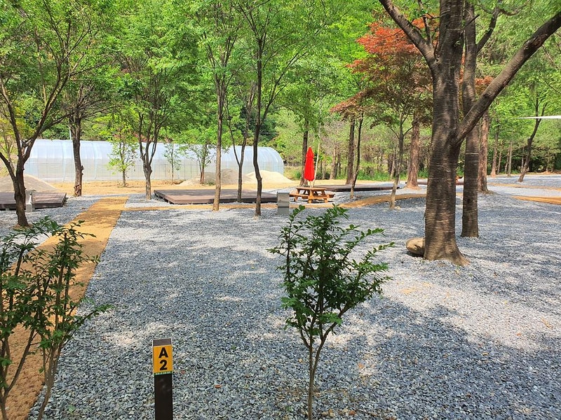 포레스트힐링캠프 시설 사진 29